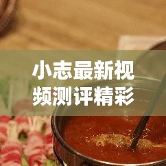 小志最新視頻測(cè)評(píng)精彩集錦，在線觀看不容錯(cuò)過(guò)