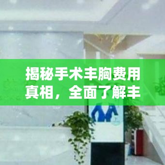 揭秘手術(shù)豐胸費(fèi)用真相，全面了解豐胸費(fèi)用細(xì)節(jié)！