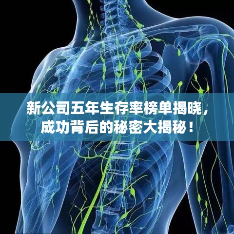 新公司五年生存率榜單揭曉，成功背后的秘密大揭秘！