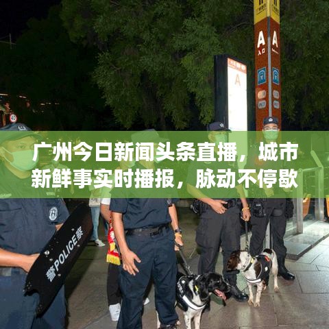 廣州今日新聞頭條直播，城市新鮮事實時播報，脈動不停歇