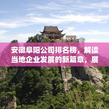 安徽阜陽(yáng)公司排名榜，解讀當(dāng)?shù)仄髽I(yè)發(fā)展的新篇章，展現(xiàn)繁榮新態(tài)勢(shì)！