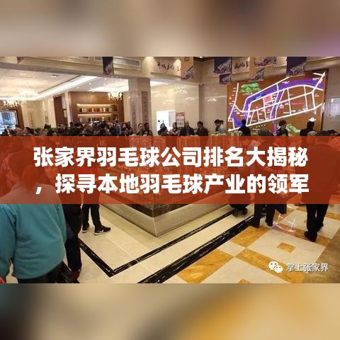 張家界羽毛球公司排名大揭秘，探尋本地羽毛球產(chǎn)業(yè)的領(lǐng)軍者