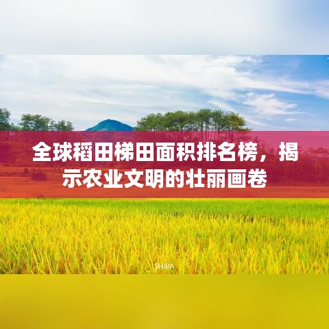 全球稻田梯田面積排名榜，揭示農(nóng)業(yè)文明的壯麗畫卷