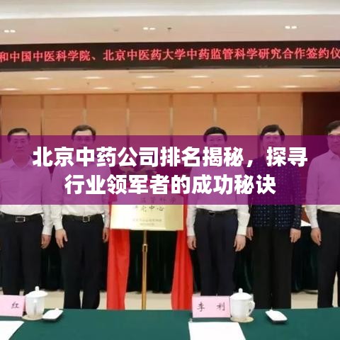 北京中藥公司排名揭秘，探尋行業(yè)領(lǐng)軍者的成功秘訣