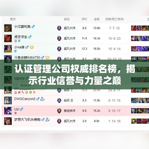 認(rèn)證管理公司權(quán)威排名榜，揭示行業(yè)信譽(yù)與力量之巔