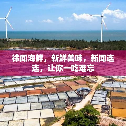 徐聞海鮮，新鮮美味，新聞連連，讓你一吃難忘