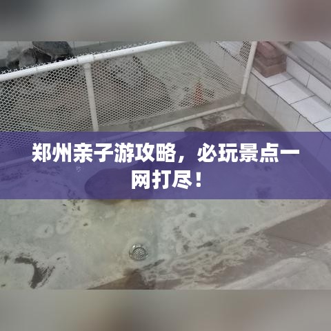 鄭州親子游攻略，必玩景點(diǎn)一網(wǎng)打盡！