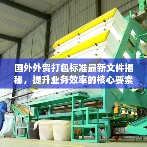 國(guó)外外貿(mào)打包標(biāo)準(zhǔn)最新文件揭秘，提升業(yè)務(wù)效率的核心要素指南
