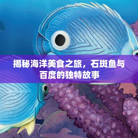 揭秘海洋美食之旅，石斑魚與百度的獨特故事