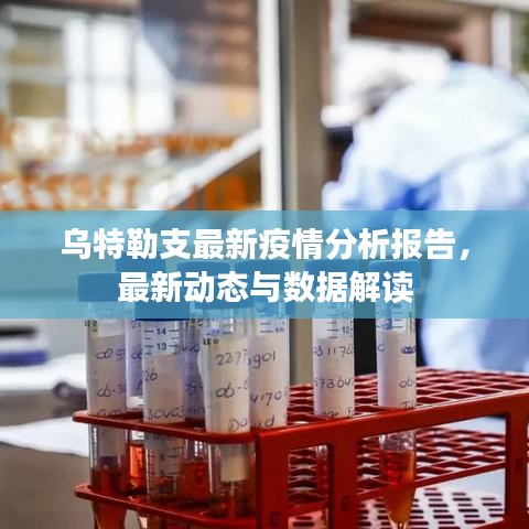 烏特勒支最新疫情分析報(bào)告，最新動(dòng)態(tài)與數(shù)據(jù)解讀