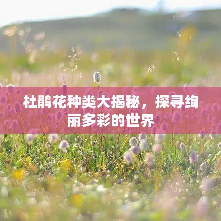 杜鵑花種類大揭秘，探尋絢麗多彩的世界