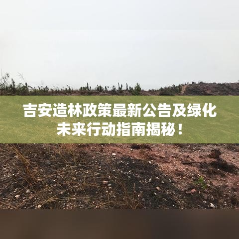 吉安造林政策最新公告及綠化未來行動指南揭秘！