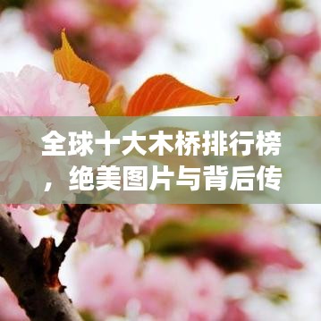 全球十大木橋排行榜，絕美圖片與背后傳奇故事揭秘