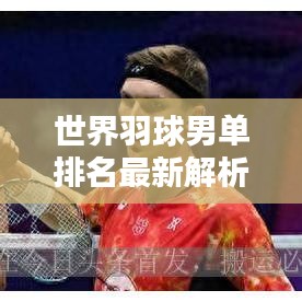世界羽球男單排名最新解析，精英選手實(shí)力對(duì)比，排名大揭秘！