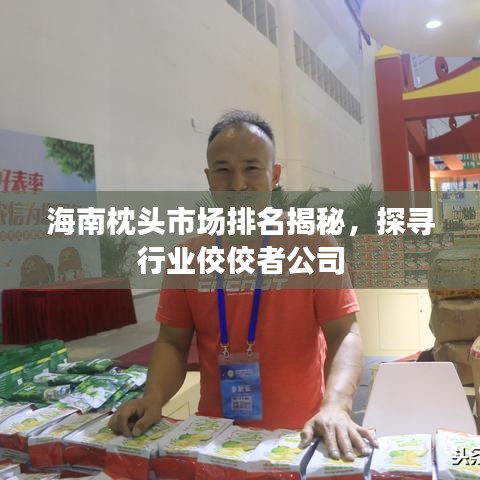海南枕頭市場(chǎng)排名揭秘，探尋行業(yè)佼佼者公司