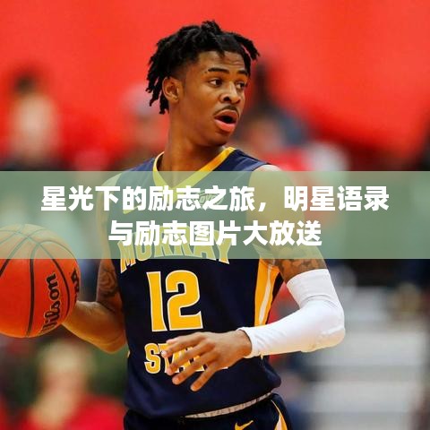 星光下的勵志之旅，明星語錄與勵志圖片大放送