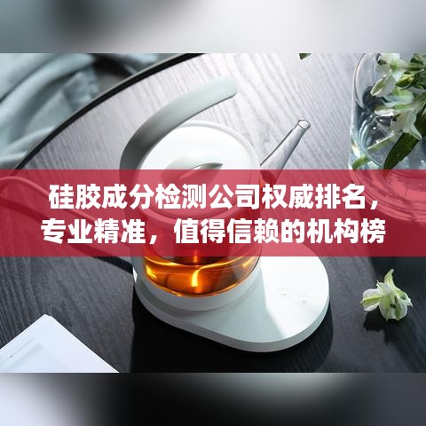 硅膠成分檢測公司權(quán)威排名，專業(yè)精準(zhǔn)，值得信賴的機(jī)構(gòu)榜單