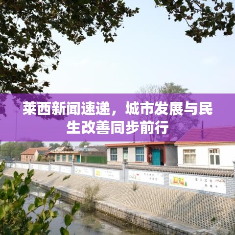 萊西新聞速遞，城市發(fā)展與民生改善同步前行