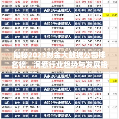 揭秘2023財金大數(shù)據(jù)公司排名榜，洞悉行業(yè)趨勢與發(fā)展格局
