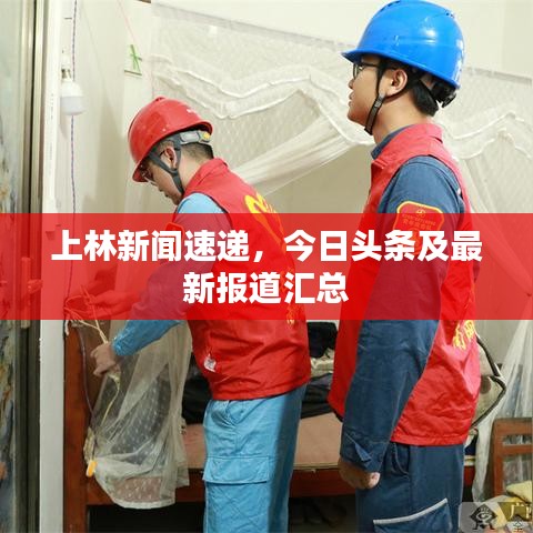 上林新聞速遞，今日頭條及最新報道匯總