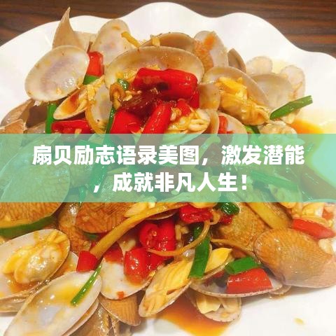 扇貝勵志語錄美圖，激發(fā)潛能，成就非凡人生！