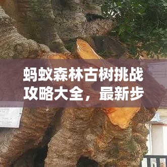 螞蟻森林古樹挑戰(zhàn)攻略大全，最新步驟解析，輕松玩轉(zhuǎn)古樹挑戰(zhàn)！