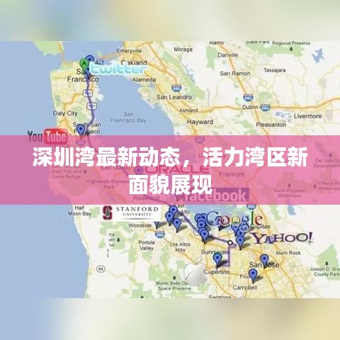 深圳灣最新動(dòng)態(tài)，活力灣區(qū)新面貌展現(xiàn)