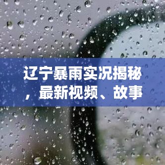 遼寧暴雨實(shí)況揭秘，最新視頻、故事背景與應(yīng)對之策