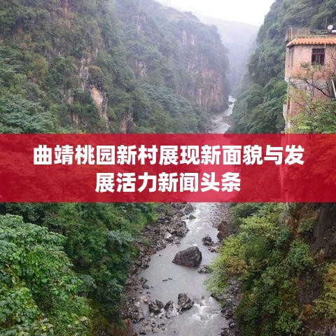 曲靖桃園新村展現(xiàn)新面貌與發(fā)展活力新聞頭條