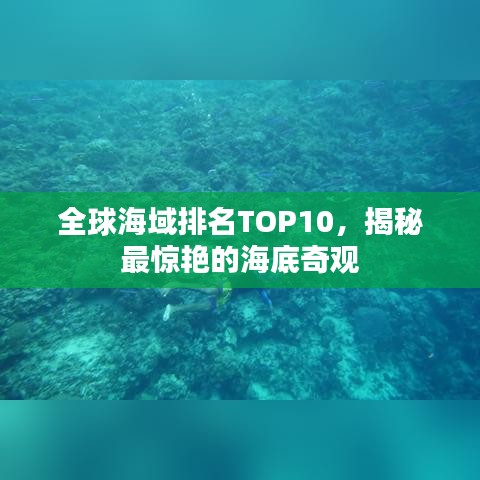 全球海域排名TOP10，揭秘最驚艷的海底奇觀