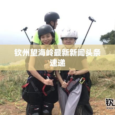欽州望海嶺最新新聞頭條速遞