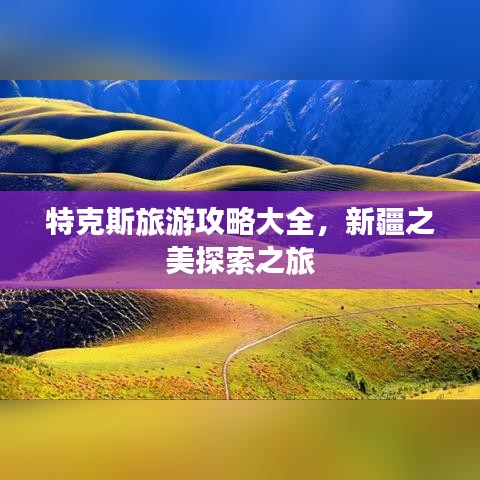 特克斯旅游攻略大全，新疆之美探索之旅