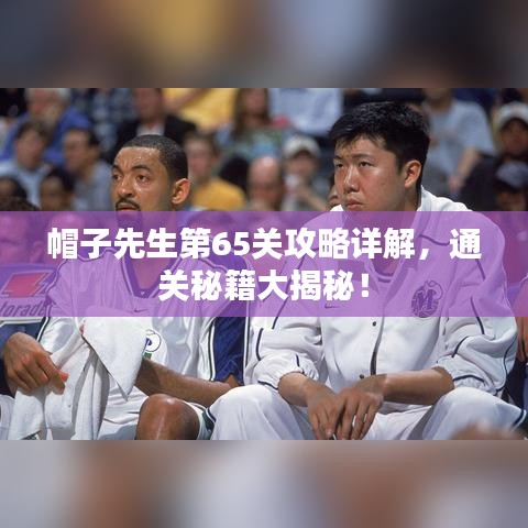 帽子先生第65關(guān)攻略詳解，通關(guān)秘籍大揭秘！