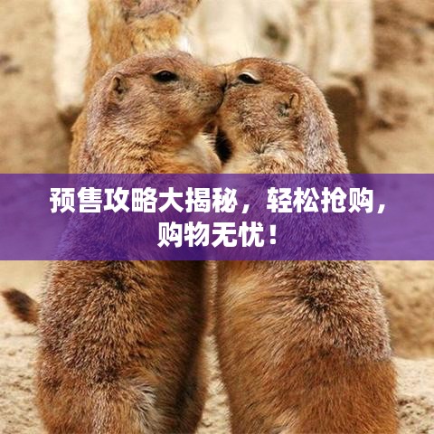 預(yù)售攻略大揭秘，輕松搶購(gòu)，購(gòu)物無(wú)憂！