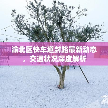 渝北區(qū)快車道封路最新動態(tài)，交通狀況深度解析