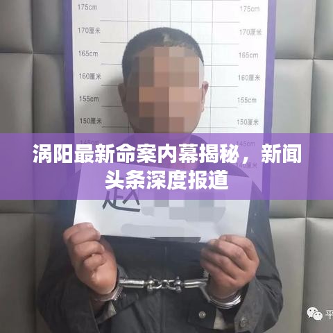 渦陽最新命案內(nèi)幕揭秘，新聞頭條深度報道