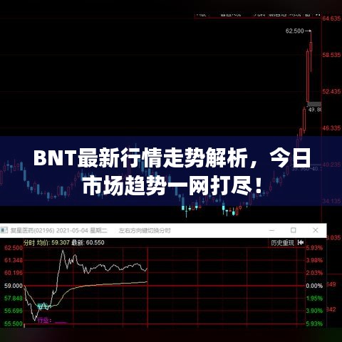 BNT最新行情走勢解析，今日市場趨勢一網(wǎng)打盡！
