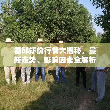 霍邱蝦價(jià)行情大揭秘，最新走勢(shì)、影響因素全解析