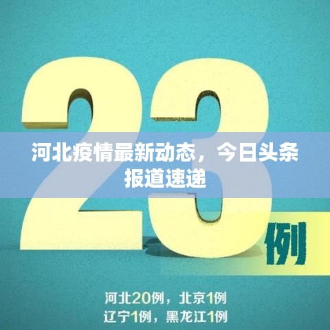 河北疫情最新動態(tài)，今日頭條報道速遞