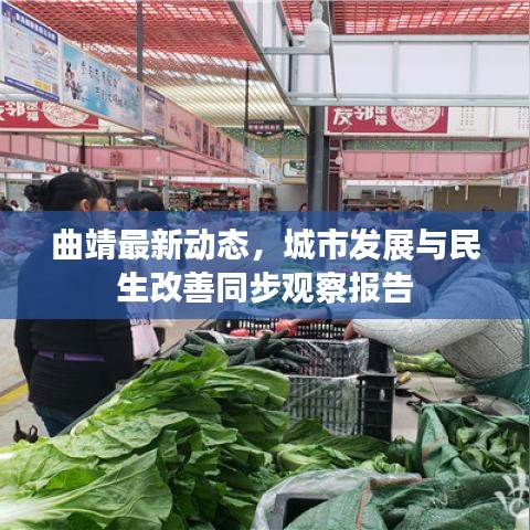 曲靖最新動(dòng)態(tài)，城市發(fā)展與民生改善同步觀察報(bào)告