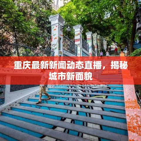 重慶最新新聞動(dòng)態(tài)直播，揭秘城市新面貌